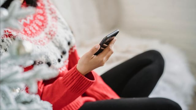 Cómo evitar fraudes y robos durante las compras de fin de año