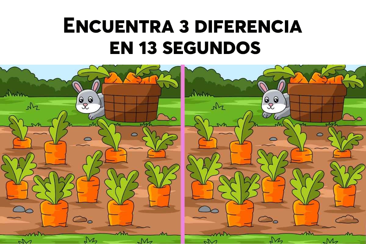 RETO VISUAL | Encuentra las diferencias en estas imágenes. | Brain Gym Internacional