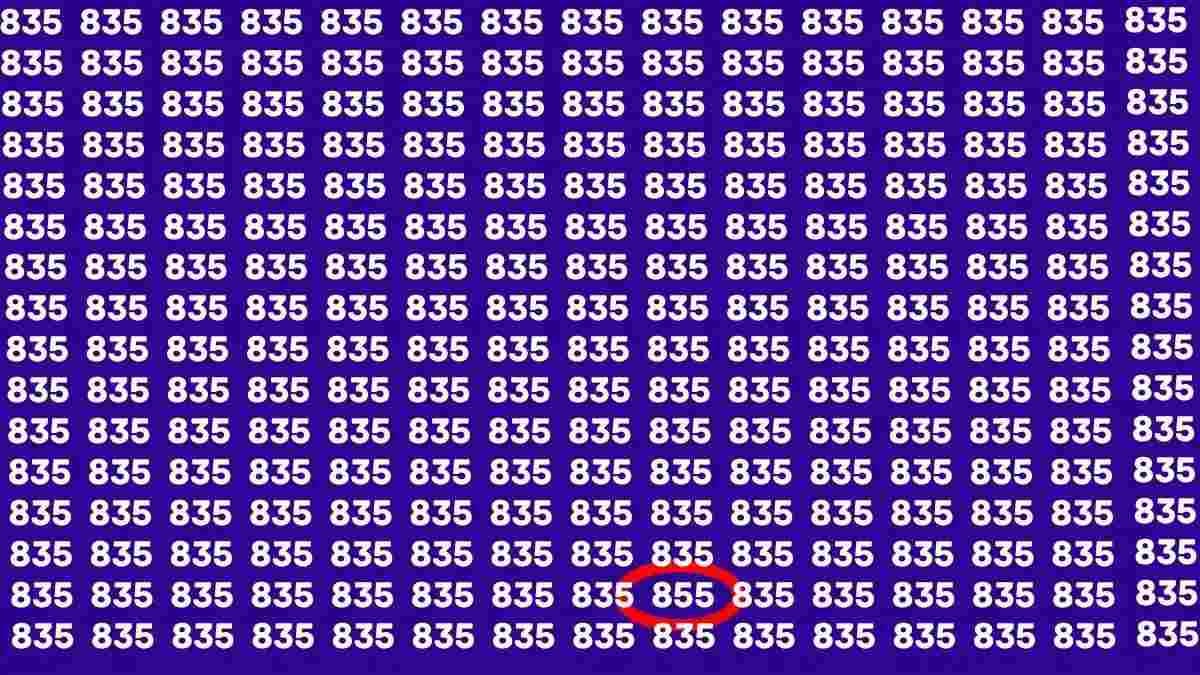 RETO VISUAL | Al medio de la penúltima fila se ubica el número 855.
