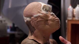 Así se reconstruyó la cara del nuevo antepasado del ser humano