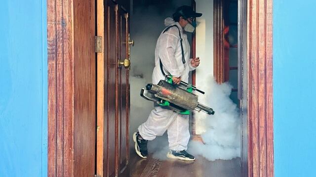 Perú con 112 mil casos de dengue y 117 fallecidos: ¿qué debe hacerse para frenar el virus? 