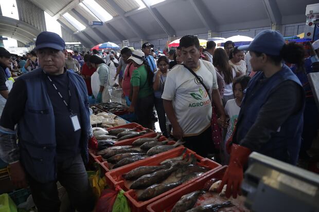 El precio de los pescados y mariscos aumentó por Semana Santa. Foto: Hugo Pérez /@Photo.gec