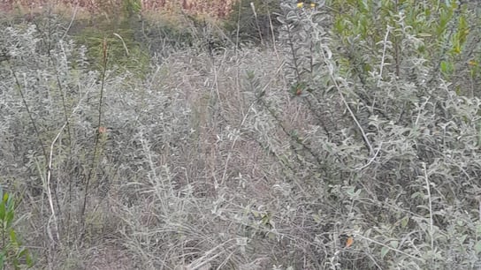Atentado contra torre del alta tensión