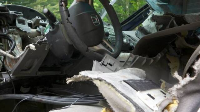 Un oso destruyó un Honda Civic