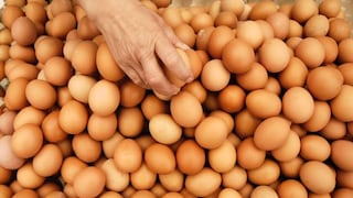 Australia prohíbe el porte de huevos durante cumbre del G-20