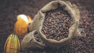 ¿Por qué se celebra el Día Mundial del Cacao cada 7 de julio?
