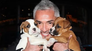 Experto, César Millán: “Los perros callejeros solo necesitan amor, no necesitas entrenarlos, pero cada mascota puede reaccionar de manera diferente”