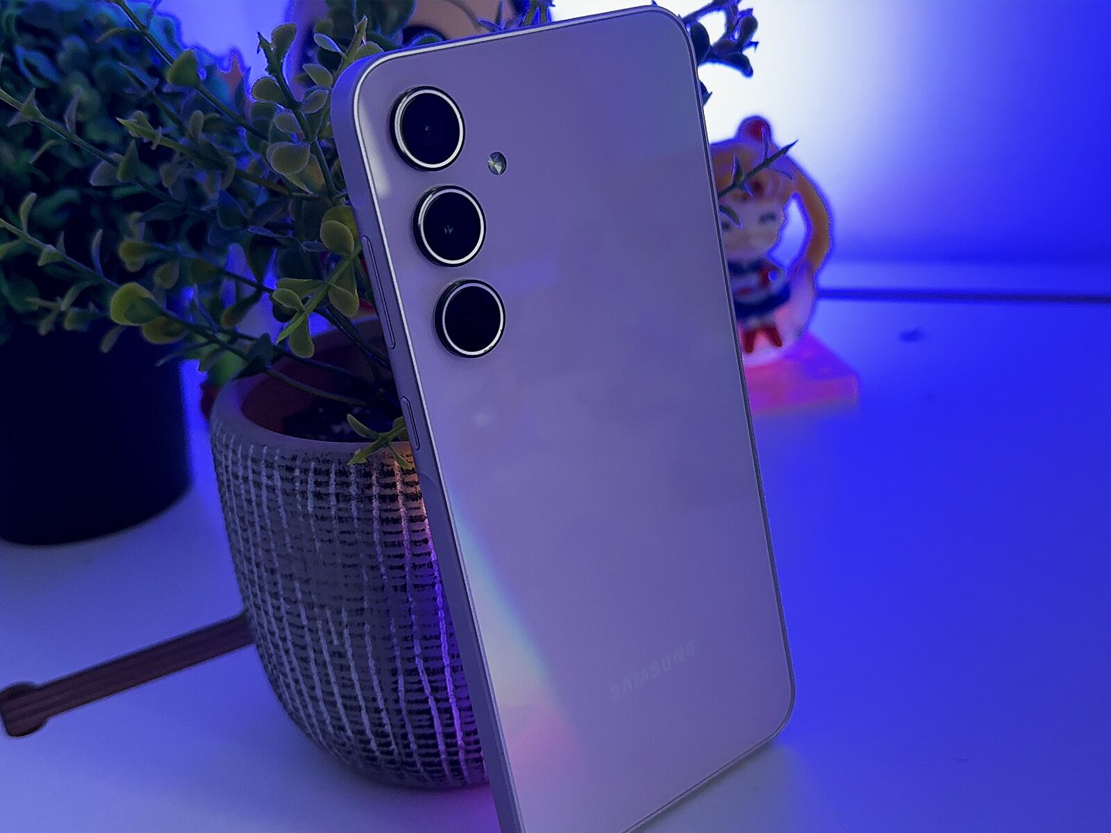 El terminal cuenta con un espacio trasero de vidrio en color lila tornasolado. (Foto: MAG - Rommel Yupanqui)