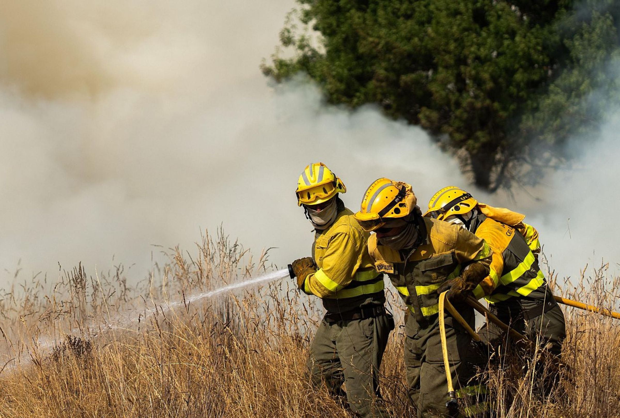 Los incendios en España superan en agosto todo lo quemado en 2024. (Foto: Emilio Fraile / RTVE)