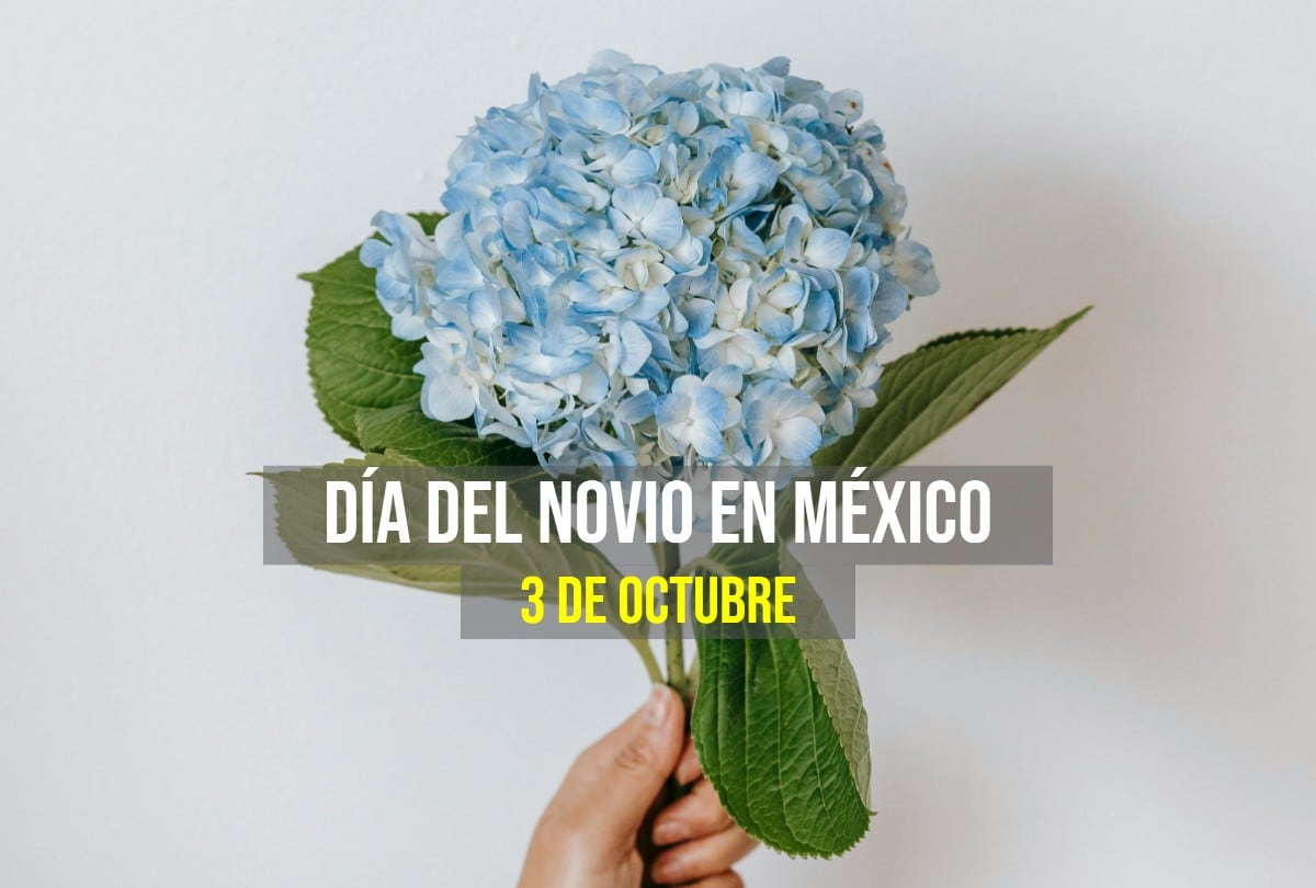 El Día del Novio en México es una oportunidad perfecta para fortalecer los lazos emocionales con un gesto tan simple pero significativo como regalar flores azules. (Pexels)