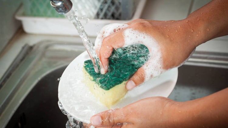 Las esponjas son la mayor fuente de cotaminación (Foto: Pixabay)