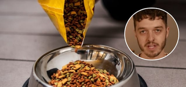 El motivo por el que este experto desaconseja almacenar comida de mascotas en recipientes de plástico