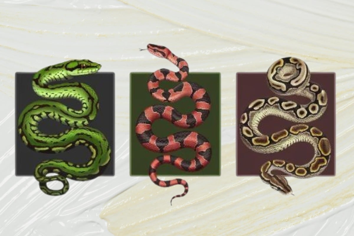 Aquí sabrás qué aspectos te definen y qué clase de persona eres según tus valores y motivaciones. (Imagen: El Comercio/Mag)