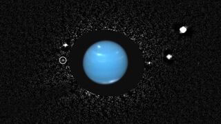 La misteriosa luna de Neptuno fue vista por primera vez en más de 20 años [FOTOS]
