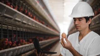 Transforman cáscaras de huevo en productos de alto valor alimenticio