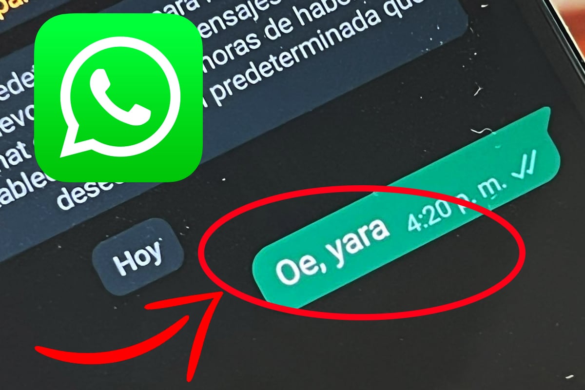 ¿Sabes realmente qué signifca "yara" en WhatsApp? Conócelo ahora mismo. (Foto: MAG)