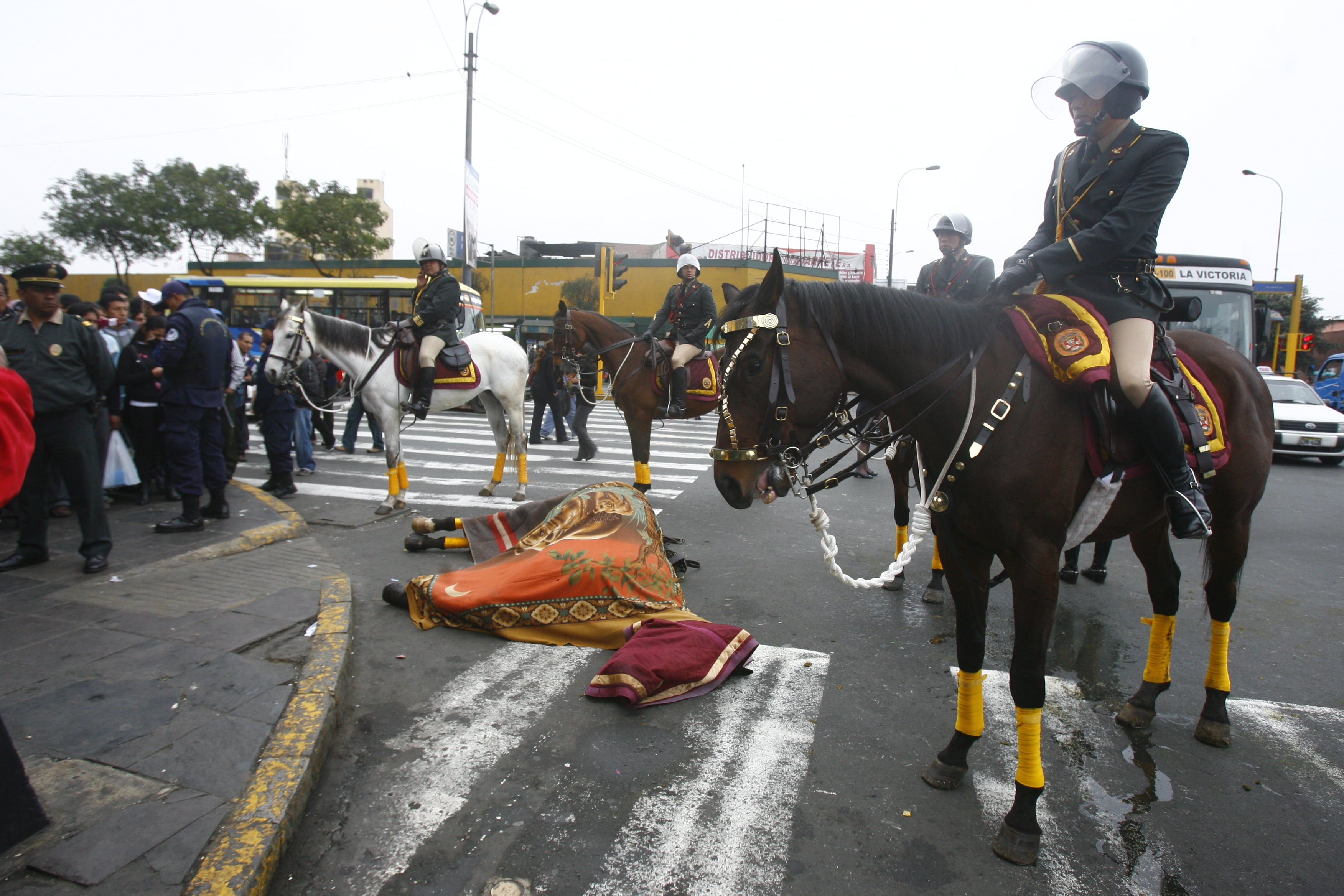Ya han ocurrido otros incidentes con la Policía Montada, donde los caballos terminaron muertos.