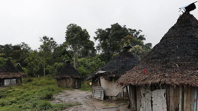 Un niño muerto y cinco heridos tras ataque a una aldea indígena Yanomami en Brasil