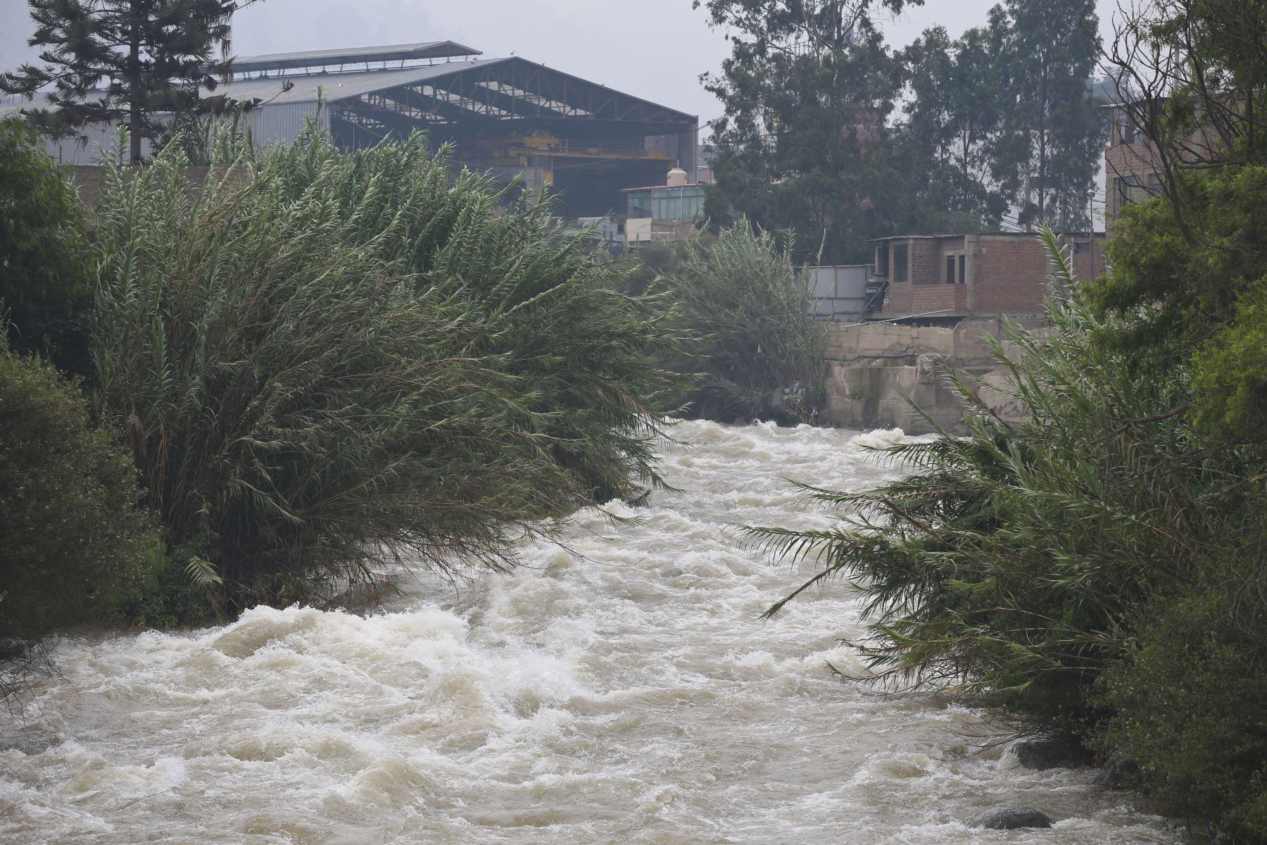 Río Rímac alcanza umbral rojo y amenaza con desbordarse en Chosica y Chaclacayo, según Senamhi. (Foto: Andina)