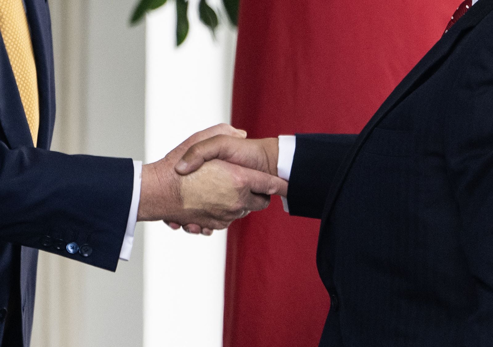 La decoloración de la mano de Donald Trump fue visible durante un encuentro que sostuvo con Salman bin Hamad al-Khalifa, príncipe heredero de Bárein, el 17 de julio. (Foto: ANDREW CABALLERO-REYNOLDS / AFP)