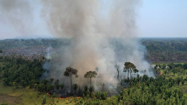 La Policía brasileña destruye 10 campamentos de mineros ilegales en la Amazonía