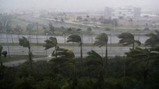 Miles evacuan mientras tormenta Alberto avanza hacia Florida