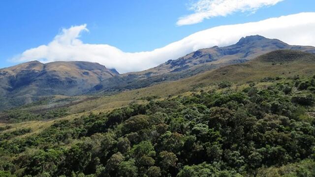 Perú obtiene US $12.000 millones en proyectos de conservación para el norte