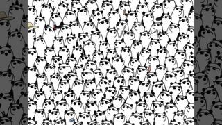 Hay 3 pandas sin anteojos: ¿Los hallarás en solo 10 segundos?