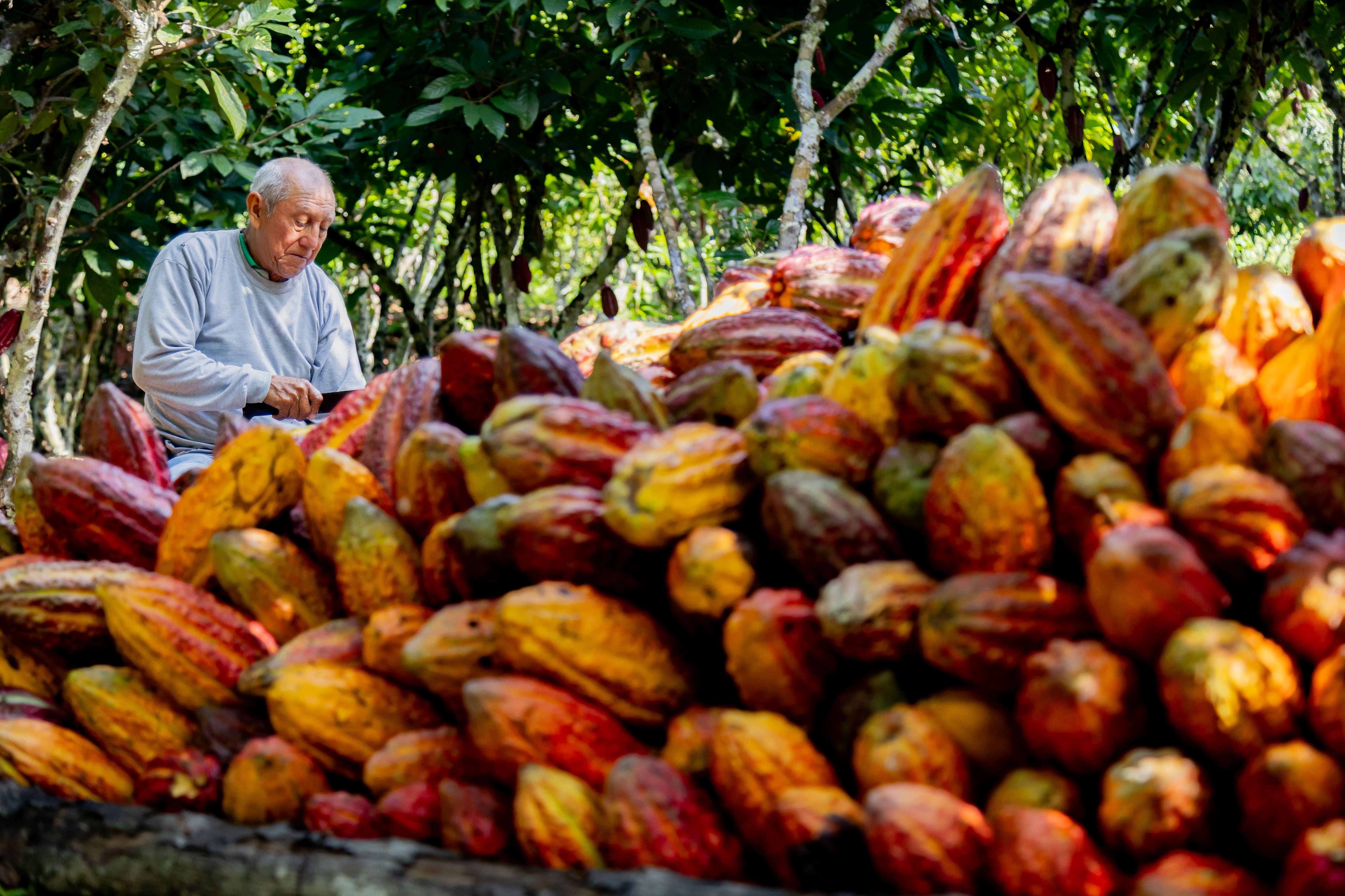 Adex: agroexportaciones peruanas tradicionales y no tradicionales suman US$3 mil 744 millones entre enero y abril de 2026