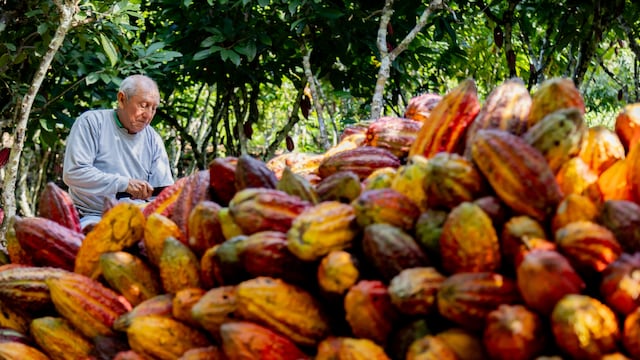 Adex: agroexportaciones peruanas tradicionales y no tradicionales suman US$3.744 millones entre enero y abril de 2026