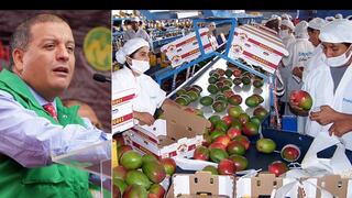 Perú exporta US$5.000 millones en productos agrícolas por los TLC
