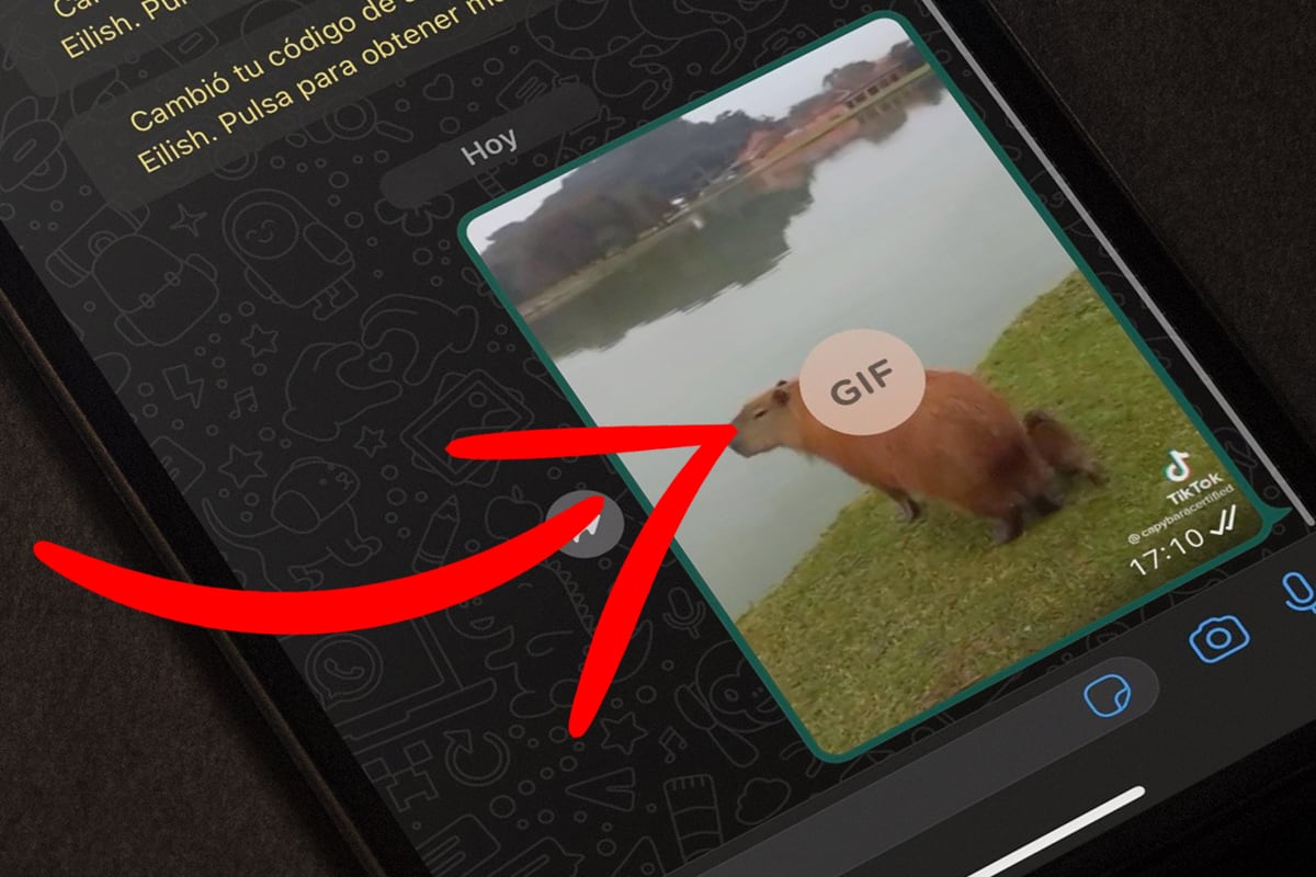 WHATSAPP | No será necesario que descargues aplicaciones de terceros. (Foto: Mag)