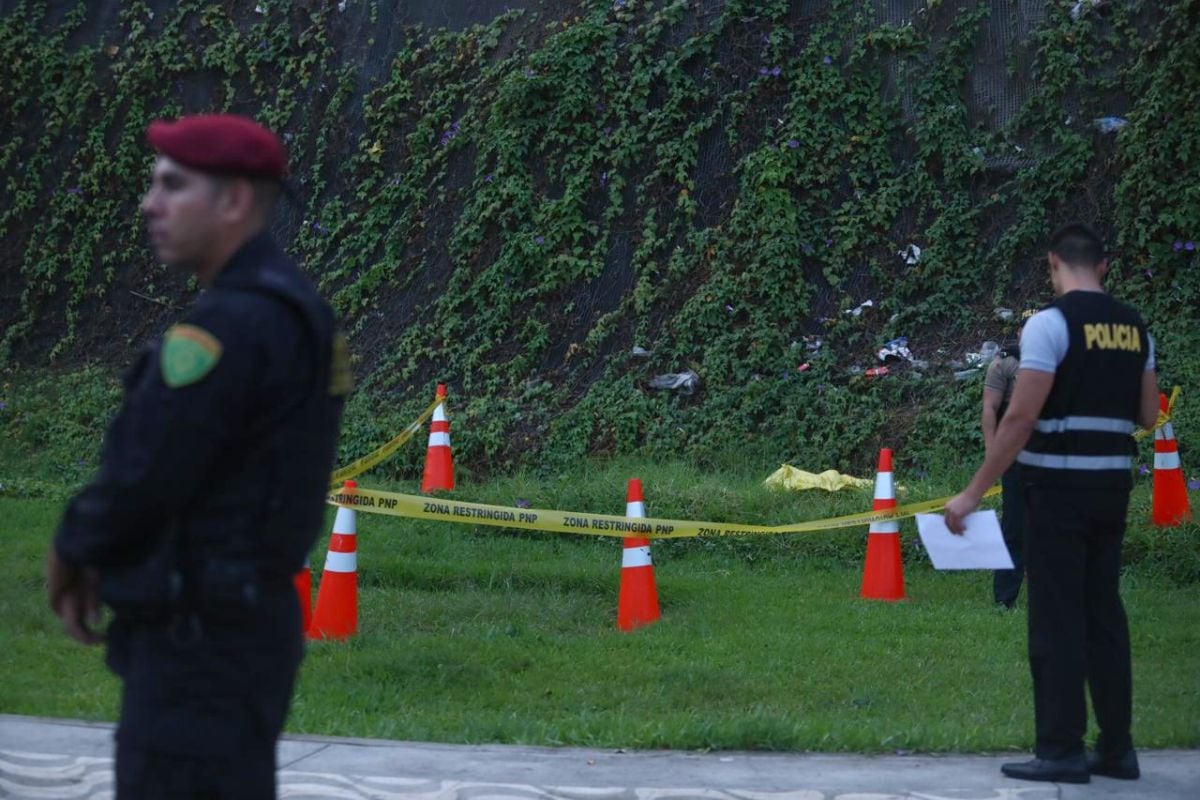 Los serenos, quienes estaban patrullando la zona, confirmaron que no es el primer incidente de este tipo en el área. Foto: GEC