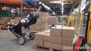 Handle, el robot capaz de realizar con exactitud el trabajo de un operario