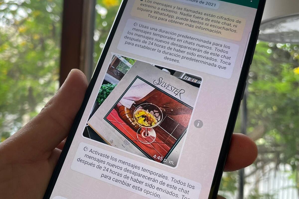 Si WhatsApp no te permite descargar fotos o videos luego de que tu celular se actualizó a Android 11, entonces sigue este truco. (Foto: MAG)