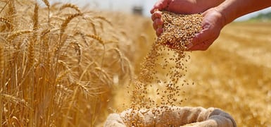 Noticias Patrocinadas