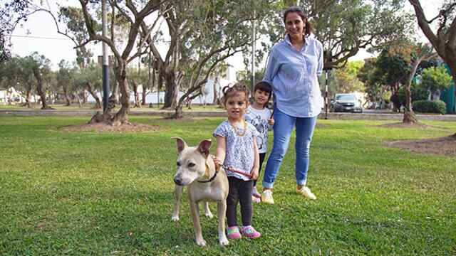 Perro adoptado sumó más armonía a este hogar