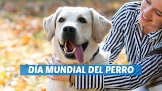 71 frases e imágenes para celebrar el Día Mundial del Perro 2025 este 21 de julio