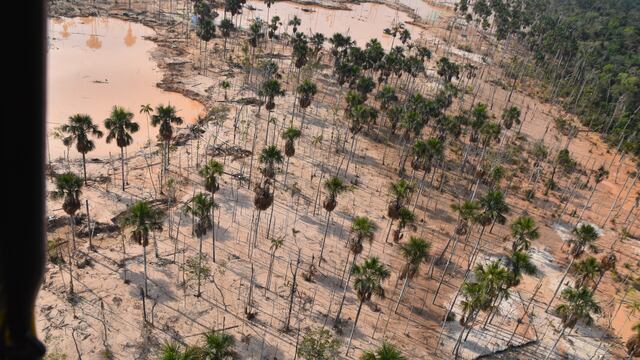 Solo en febrero se perdieron más de 150 ha de bosque de Madre de Dios por minería: ¿qué hay detrás?