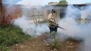 Dengue y la peligrosa nueva variante en Tumbes: ¿qué se sabe hasta el momento?