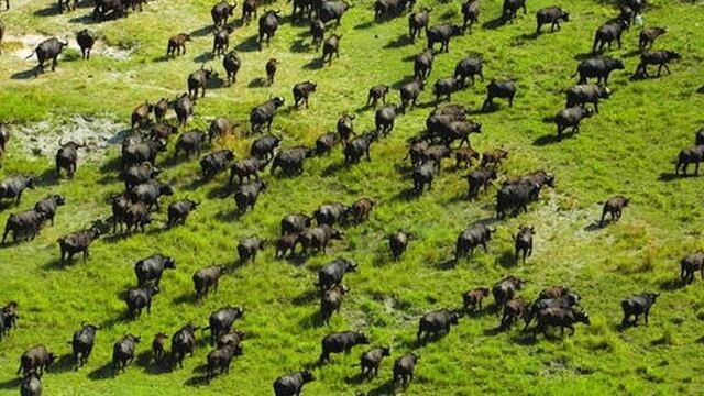 Bellos tesoros: Unesco y los nuevos patrimonios de la humanidad