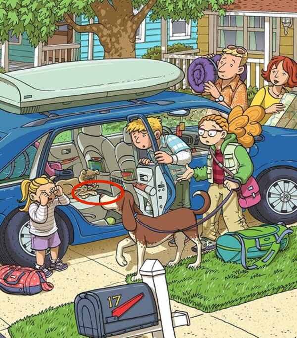 Sigue probando estos rompecabezas y definitivamente resolverás el siguiente fácilmente