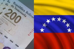 Requisito para cobrar hoy el Bono Hogares de la Patria en Venezuela: más de 800 bolívares vía Canal Patria Digital
