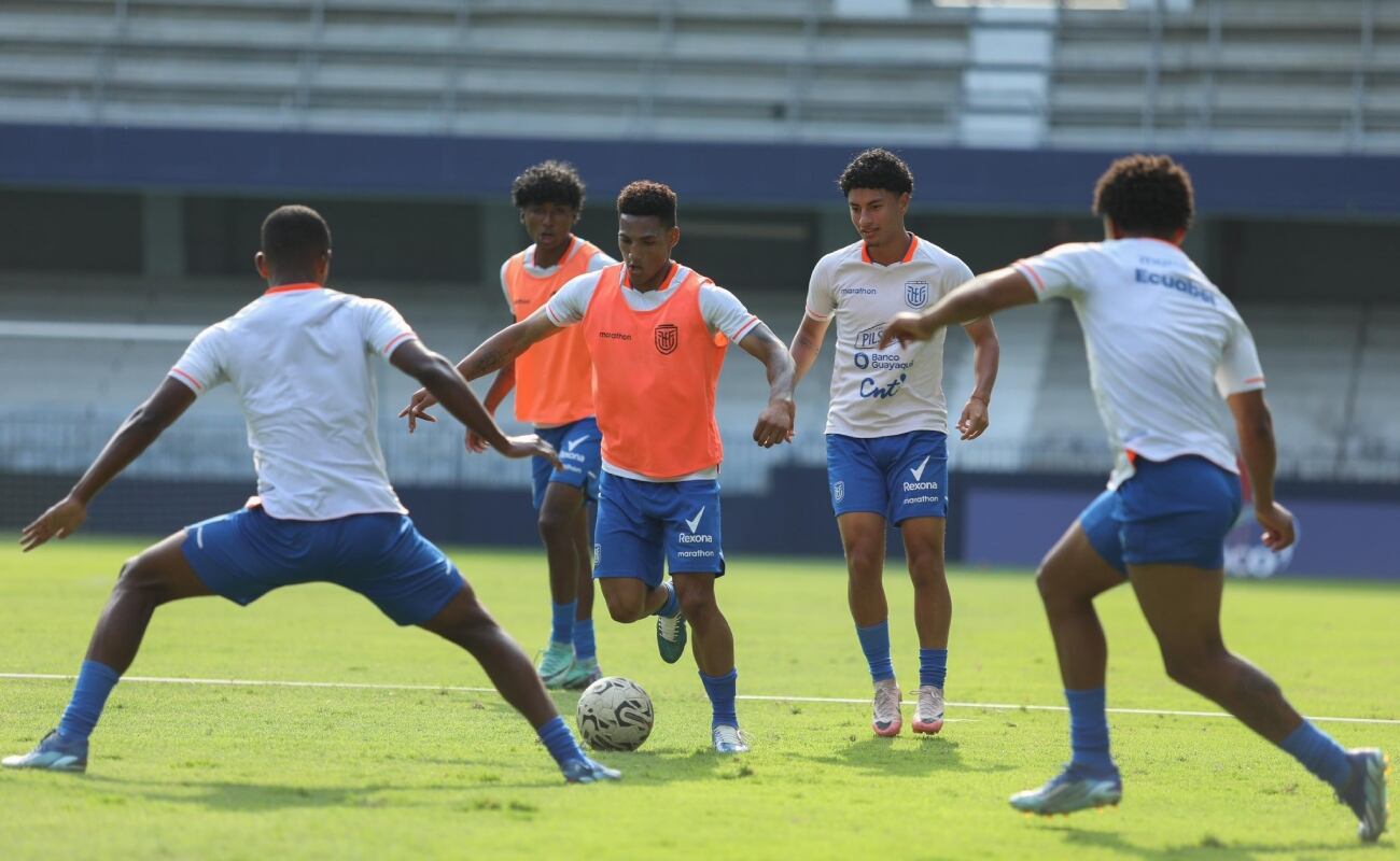 Brasil vs. Ecuador se verán las caras este viernes 6 de septiembre por la fecha 7 de las Eliminatorias Sudamericanas.
