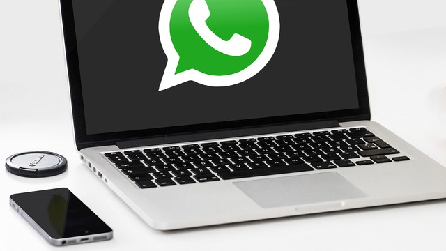 WhatsApp Web: cómo eliminar el sonido de notificación 