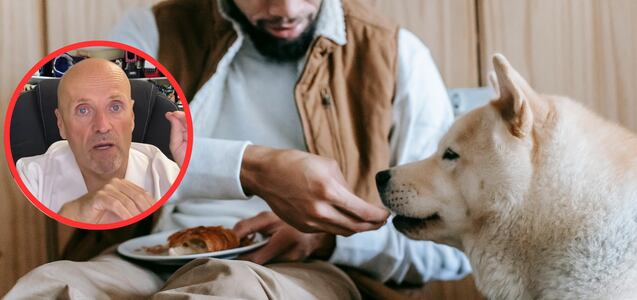 Soy veterinario y estos son los alimentos de consumo humano que recomiendo para tus perros