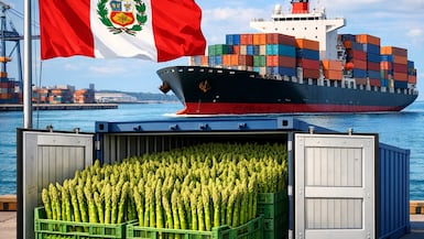 Si bien entre enero y octubre del 2025, el volumen se ha recuperado en 10% respecto al mismo período del 2024 (alcanzando las 79 mil toneladas), el monto se mantiene en niveles casi iguales (Imagen creada con IA)