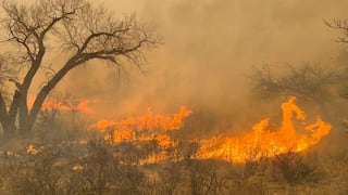 Un muerto por incendio forestal en Texas, considerado uno de los mayores de su historia 