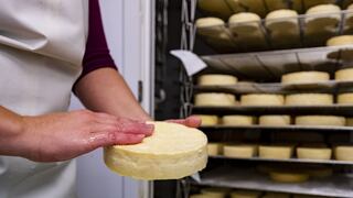 México suspendió venta de quesos de 19 marcas y dos yogures por engaño en el etiquetado