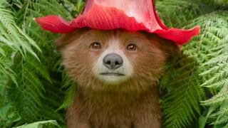 “Paddington en Perú”: ¿quiénes son las peruanas que darán voz en la película?